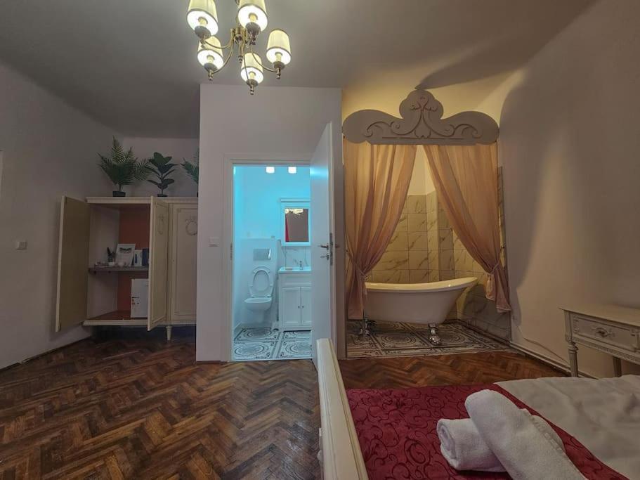 Апартаменты Ludovic Boutique Брашов Экстерьер фото